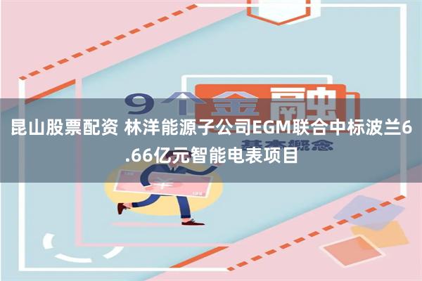 昆山股票配资 林洋能源子公司EGM联合中标波兰6.66亿元智能电表项目