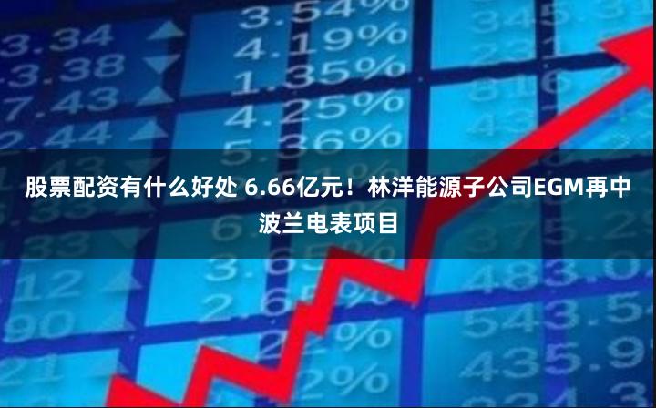 股票配资有什么好处 6.66亿元！林洋能源子公司EGM再中波兰电表项目