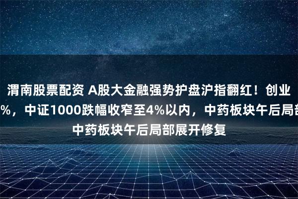 渭南股票配资 A股大金融强势护盘沪指翻红！创业板指涨超3%，中证1000跌幅收窄至4%以内，中药板块午后局部展开修复