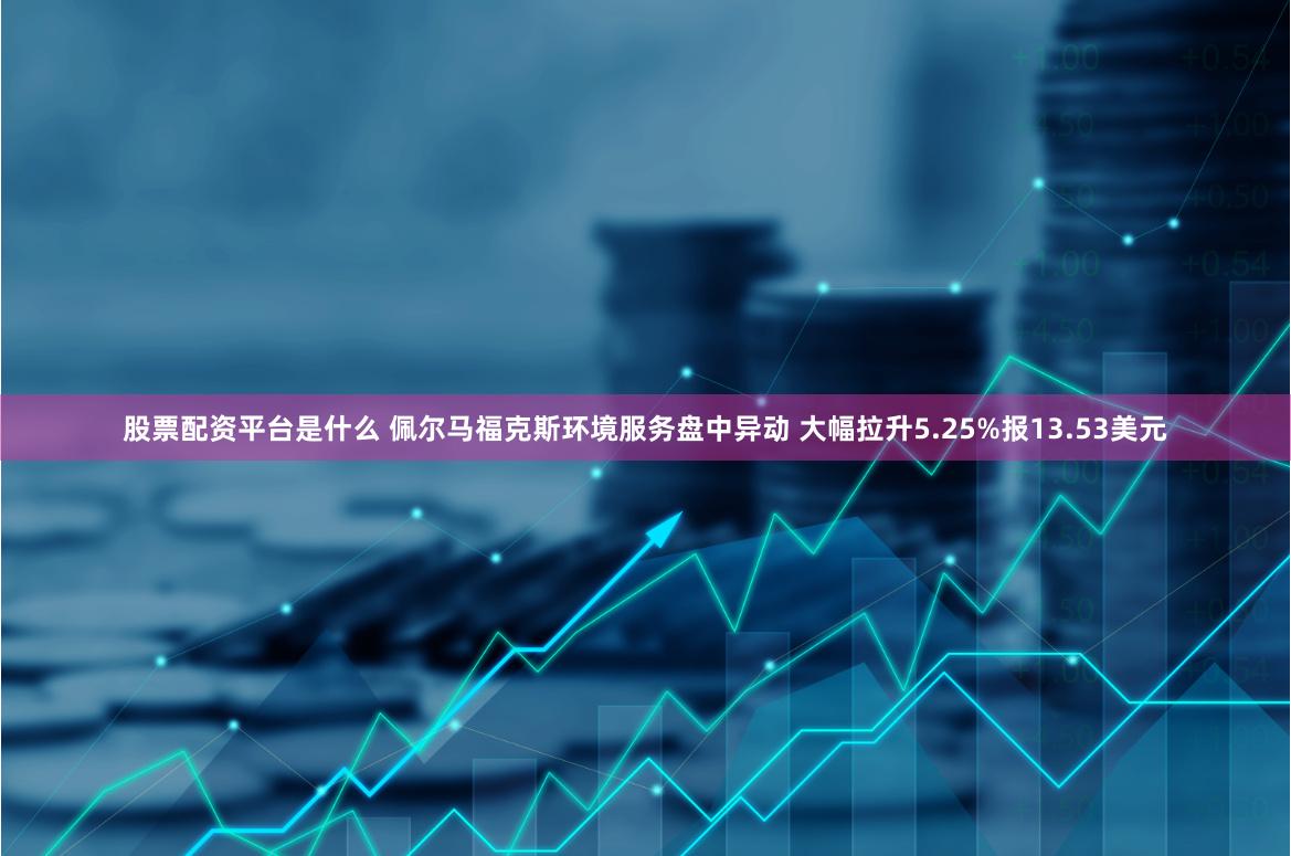 股票配资平台是什么 佩尔马福克斯环境服务盘中异动 大幅拉升5.25%报13.53美元