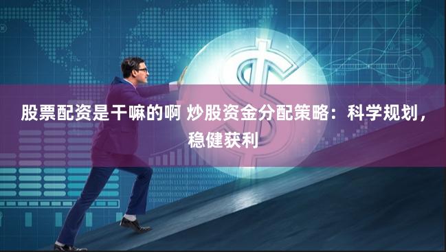 股票配资是干嘛的啊 炒股资金分配策略：科学规划，稳健获利
