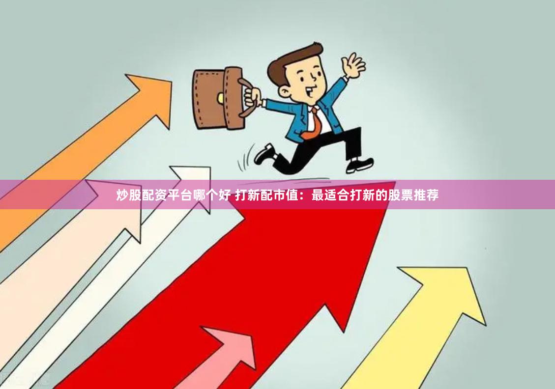 炒股配资平台哪个好 打新配市值：最适合打新的股票推荐